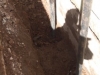 Subsidence Repairs Specialist Cork with K&K Construction Tel:087-2450967